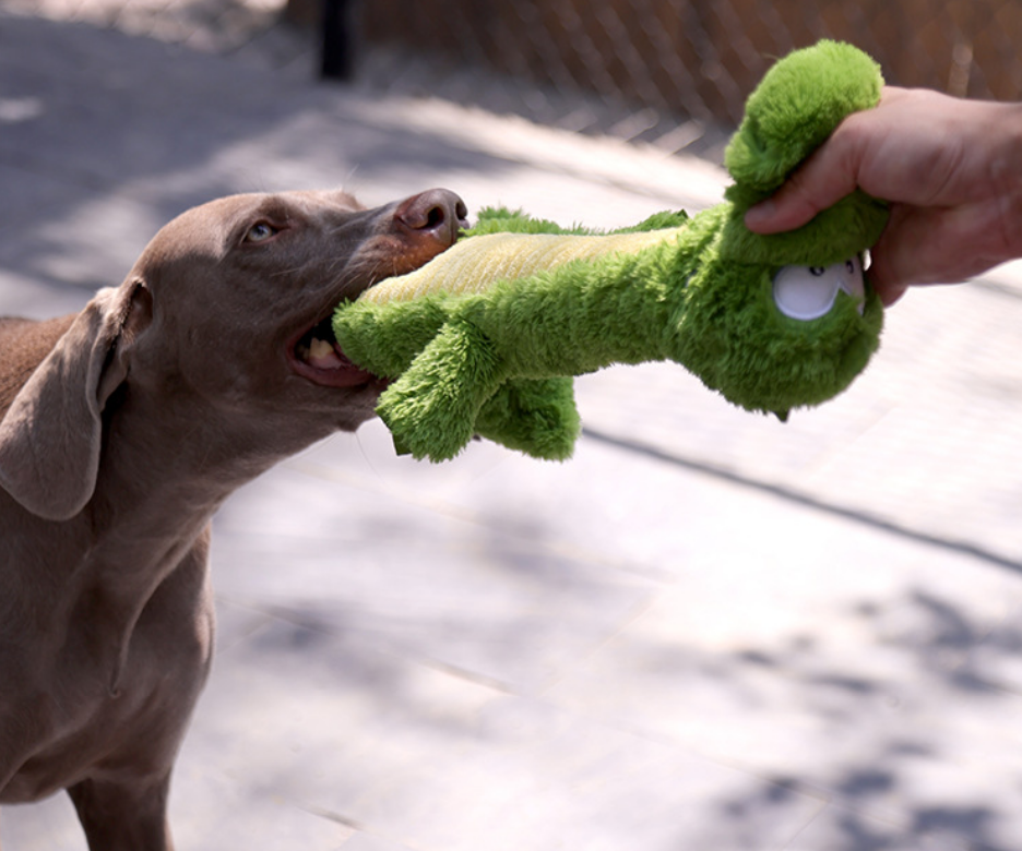 Q Monster Green Croco Squeaky Plush