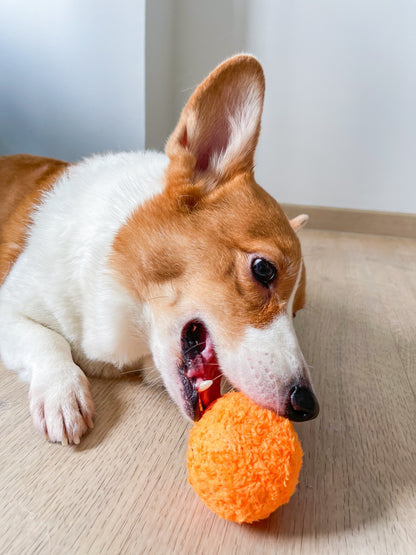 Orange Squeaky Bounce Ball