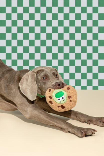 Dog Friend Cookie Squeaky Plush