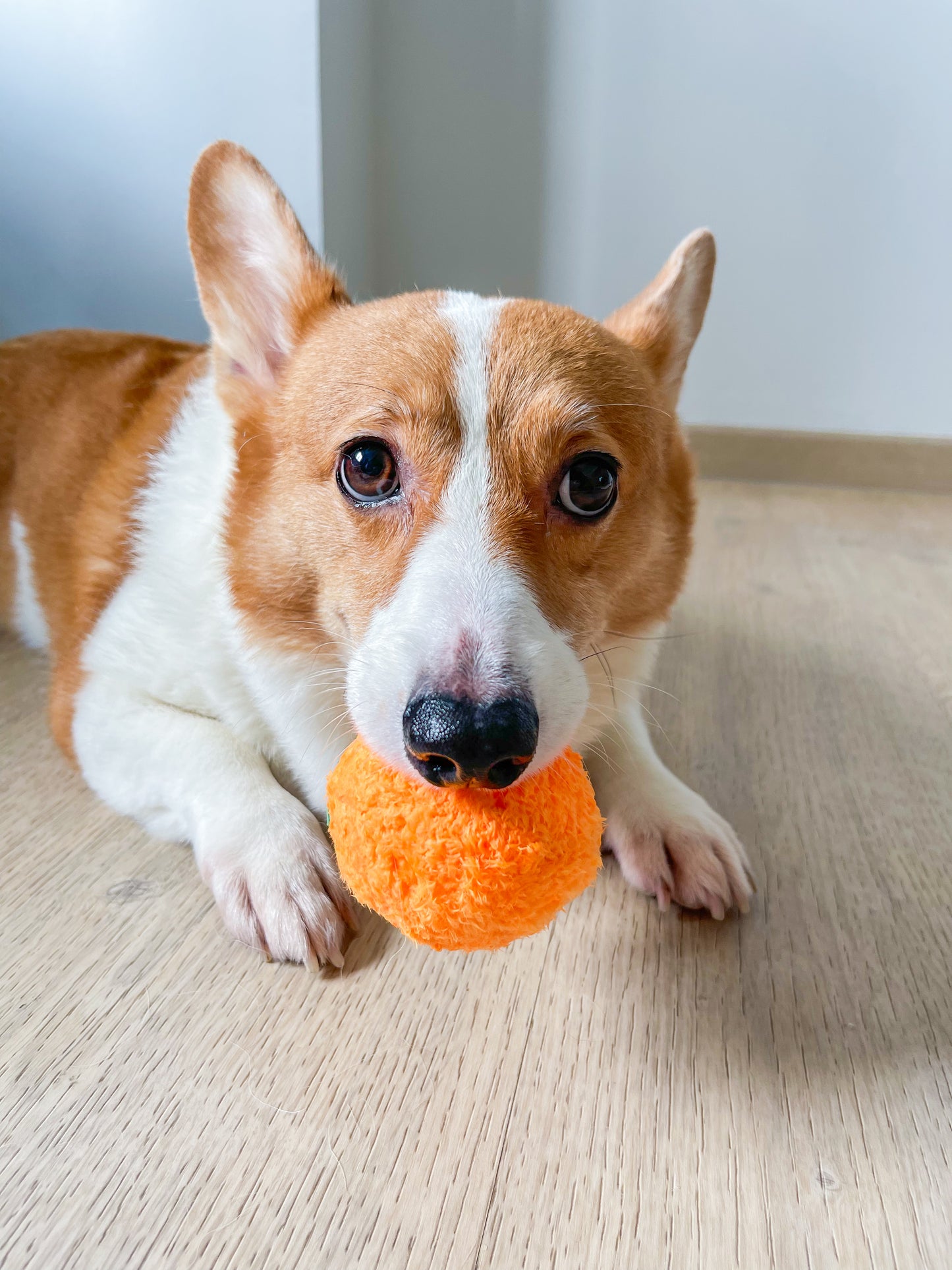 Orange Squeaky Bounce Ball