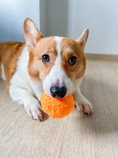 Orange Squeaky Bounce Ball