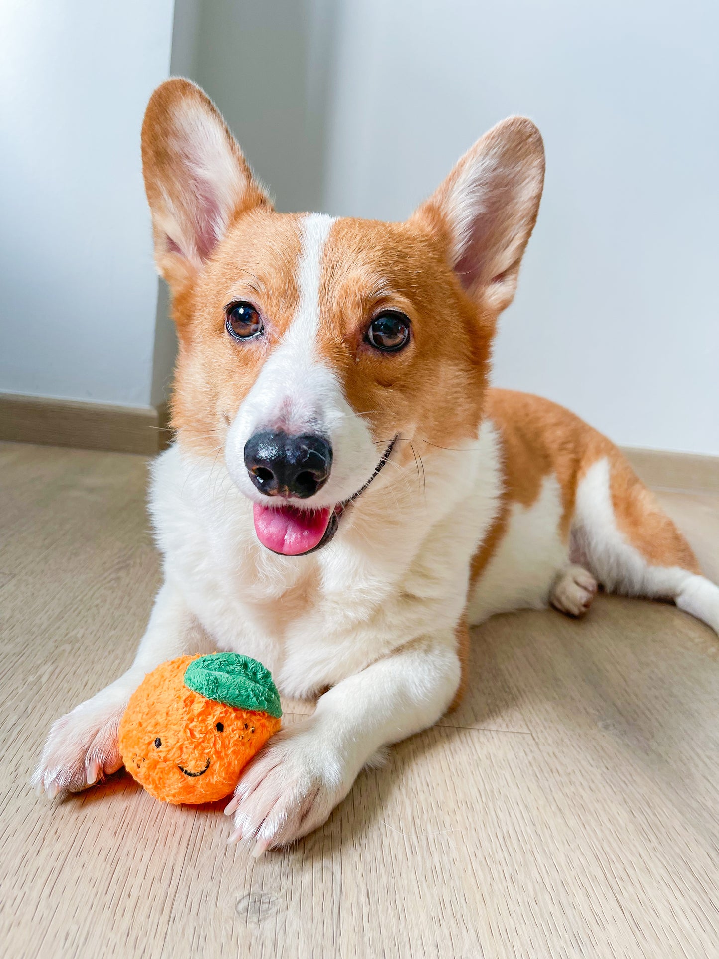 Orange Squeaky Bounce Ball