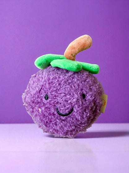 Mangosteen Squeaky Bounce Ball