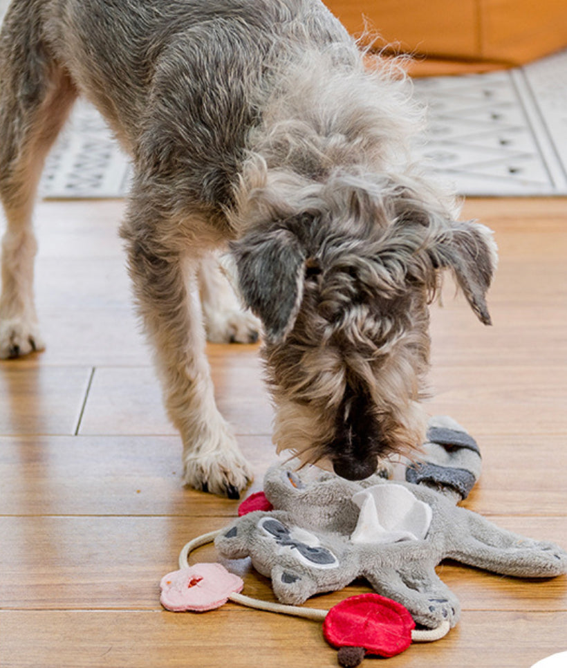 Racoon Snuffle Plush