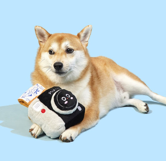 Polaroid Camera Snuffle Plush