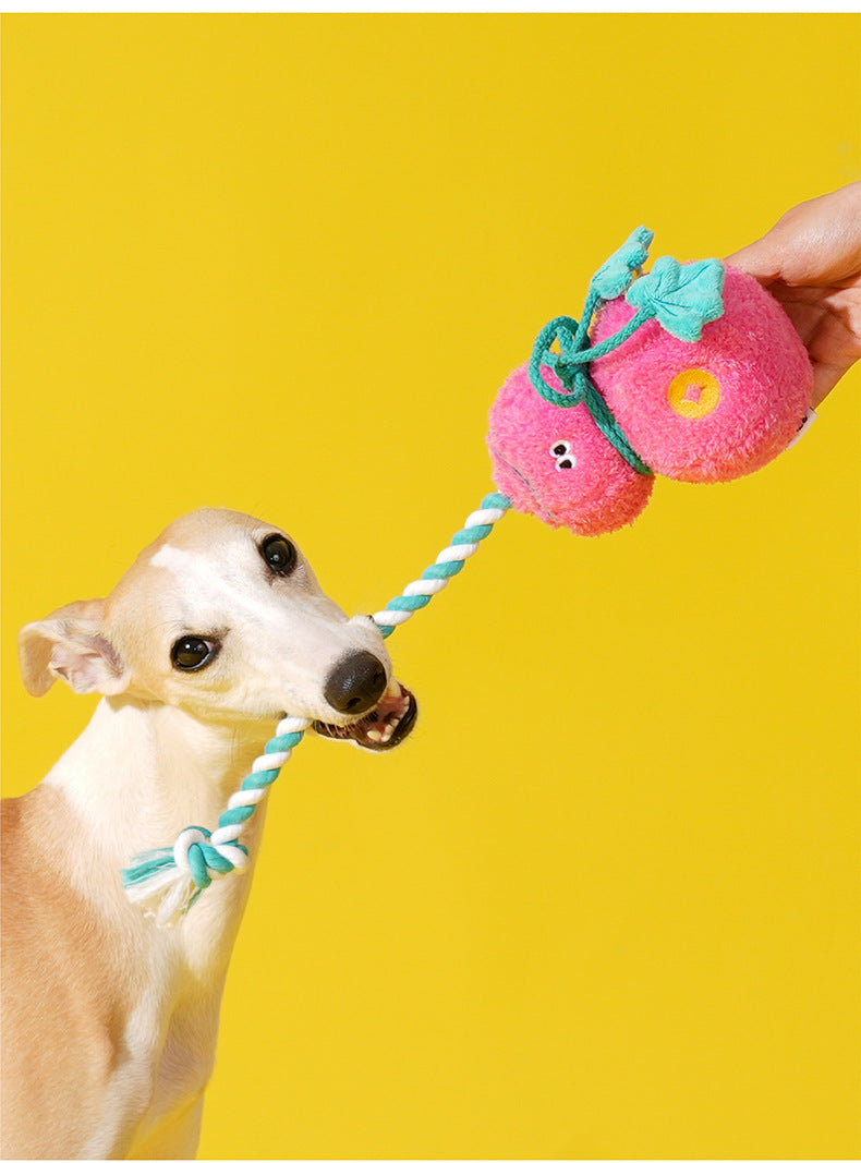 Zeze Pink Gourd Squeaky Tug Plush