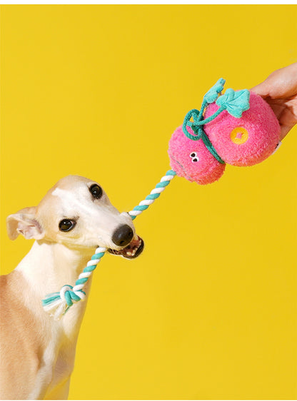 Zeze Pink Gourd Squeaky Tug Plush