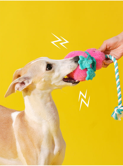 Zeze Pink Gourd Squeaky Tug Plush