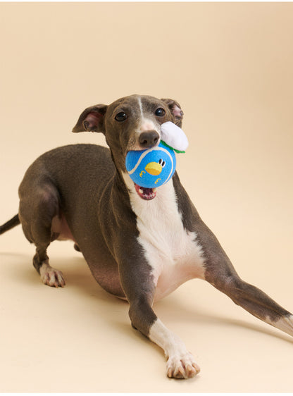 Zeze Soft Tennis Squeaky Ball